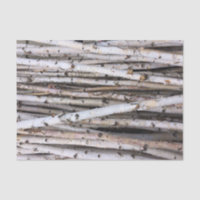 Birch