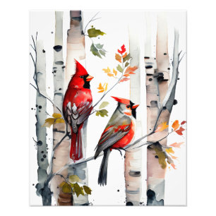 Birch Tree and Cardinals Photo Print