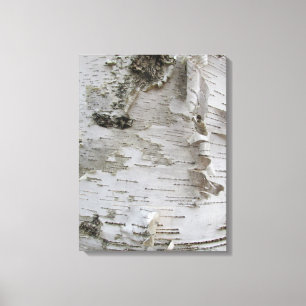 Birch Tree Bark Peeled Old Photo Art Canvas Print