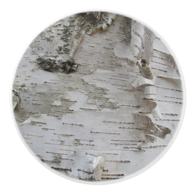 Birch Tree Bark Peeled Old Photo Art Ceramic Knob (Front)