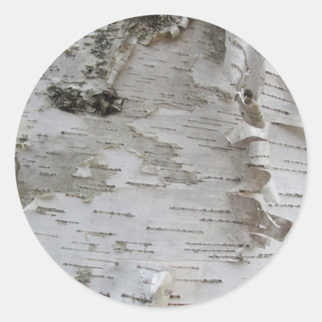 Birch Tree Bark Peeled Old Photo Art Classic Round Sticker (Front)