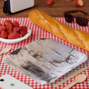 Birch Tree Bark Plate