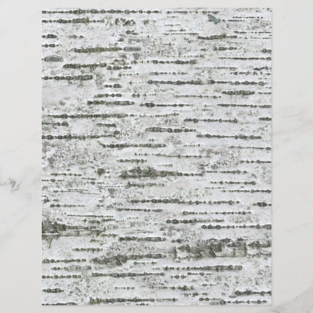 Birch Tree Bark White Grey Pattern Scrapbook Paper (Front)