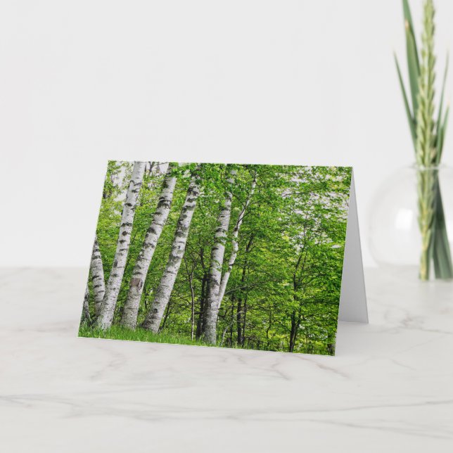 Birch tree birthday card (Front)