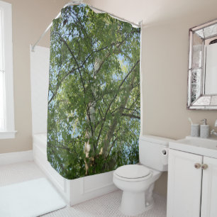birch tree blue sky shower curtain