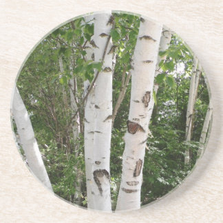 Birch Tree Coaster