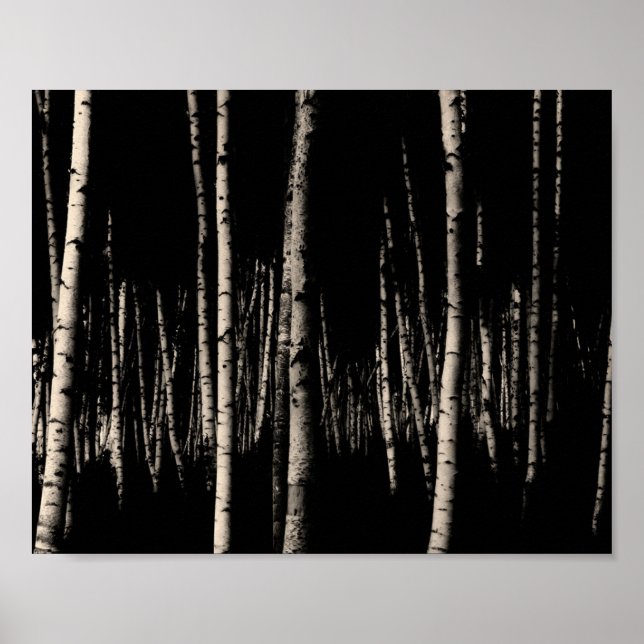 Birch Tree Forest in Sepia Poster (Front)