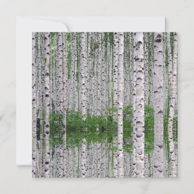 Birch Tree Forest Nature Flat Card (Front)