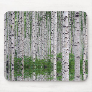 Birch Tree Forest Nature Mouse Pad