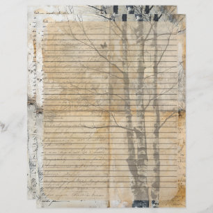 Birch Tree Old Manuscript  Custom Letterhead