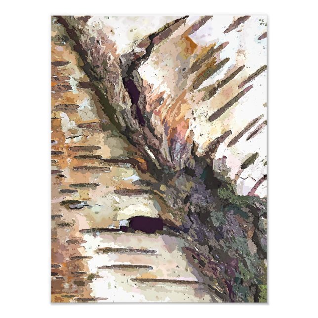 BIRCH TREE PHOTO PRINT (Front)
