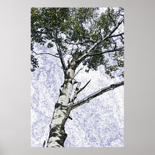 Birch tree poster
