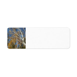 Birch tree return address label