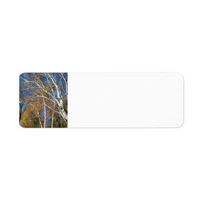 Birch tree return address label (Front)
