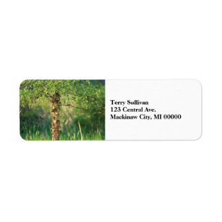 Birch Tree Return Address Label