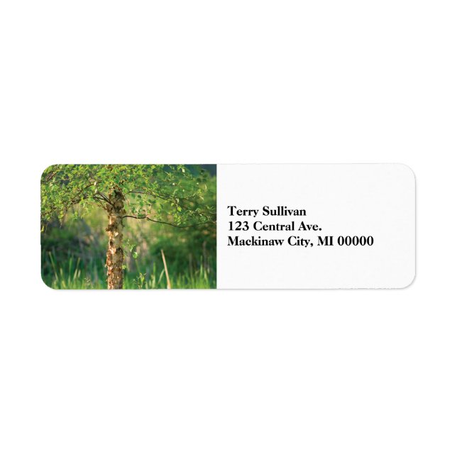 Birch Tree Return Address Label (Front)