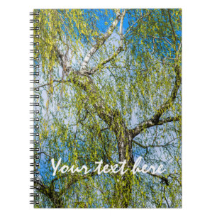 Birch tree - Spring is in the air Notebook