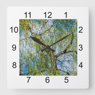 Birch tree - Spring is in the air Square Wall Clock