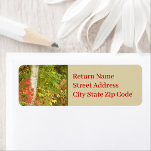 Birch Tree Trunk Return Address Label