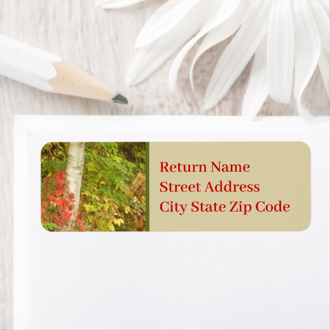 Birch Tree Trunk Return Address Label (Insitu)