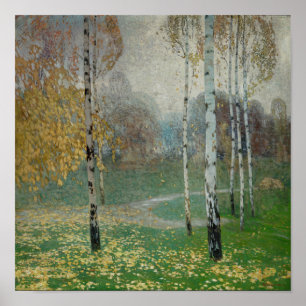 Birch Trees, 1904 (oil on canvas) Poster