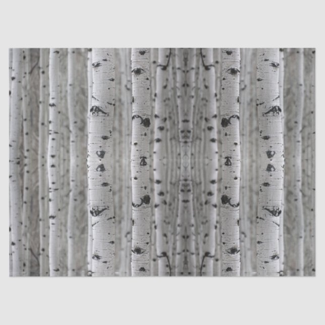 Birch trees gift tissue paper (Front)