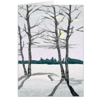 Birch Trees in the Morning