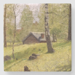 Birch Trees in the Swedish Countryside (Jansson) Stone Coaster