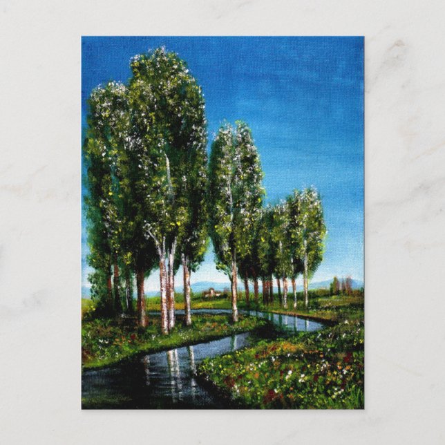 BIRCH TREES IN TUSCANY LANDSCAPE INVITATION POSTCARD (Front)