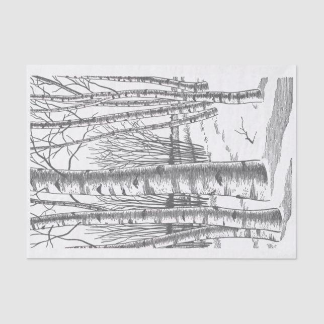 Birch Trees In Winter Tissue Paper (Front)