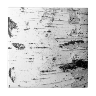 Birch trunk ceramic tile
