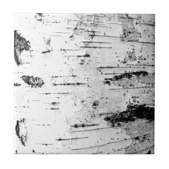 Birch trunk ceramic tile (Front)