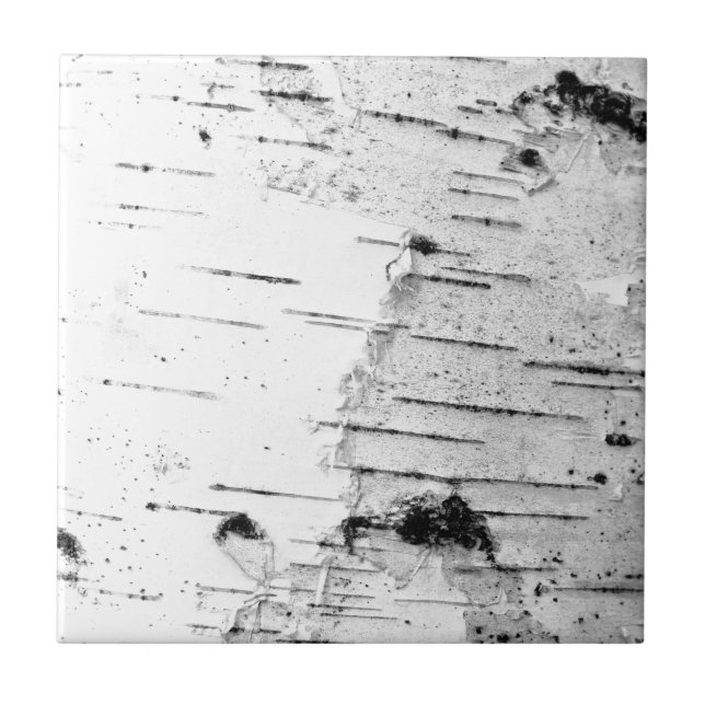 Birch trunk ceramic tile (Front)