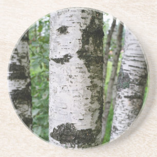 Birch trunk coaster