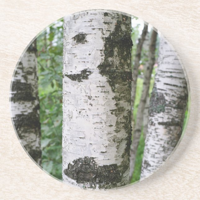 Birch trunk coaster (Front)