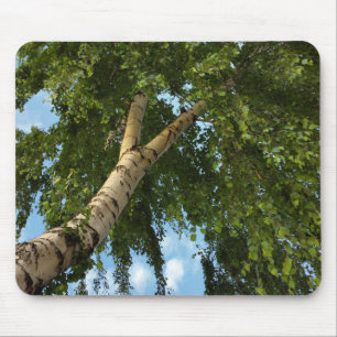 birch umbrella mouse pad