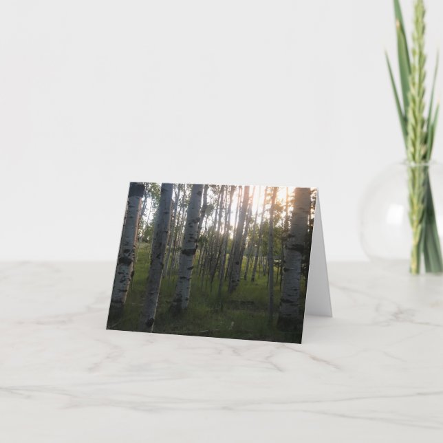 Birches in the Morning Card (Front)