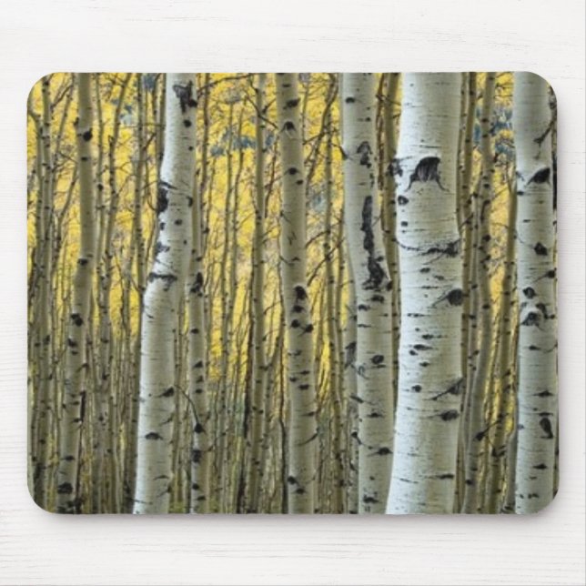 Birches Mouse pad (Front)