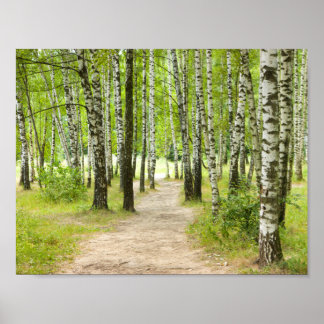 Birchwood Poster