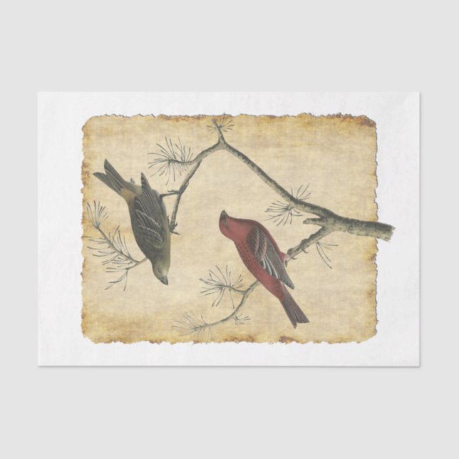 Bird 34 Decoupage Tissue Paper (Front)