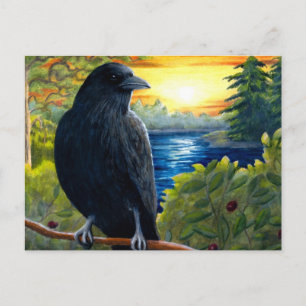 Bird 63 crow postcard