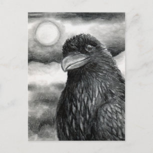 Bird 64 Crow Raven Postcard