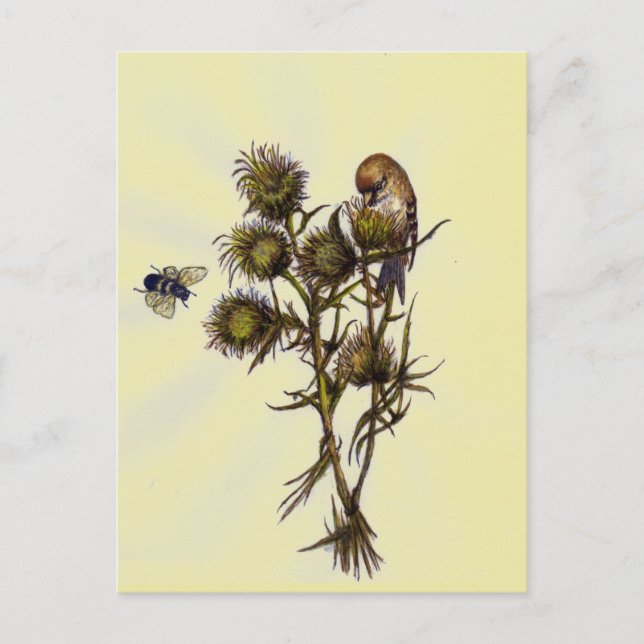 Bird and Bee Postcard (Front)