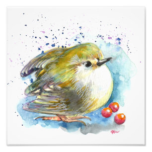 Bird and Berries Photo Print