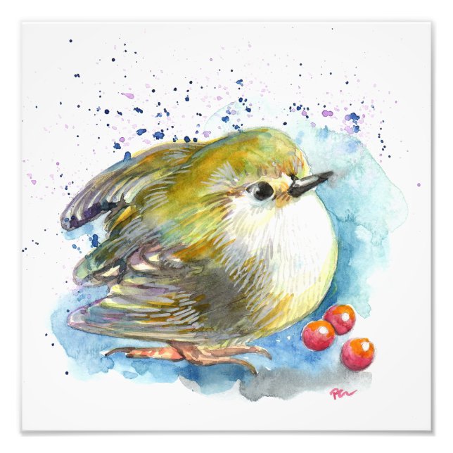 Bird and Berries Photo Print (Front)