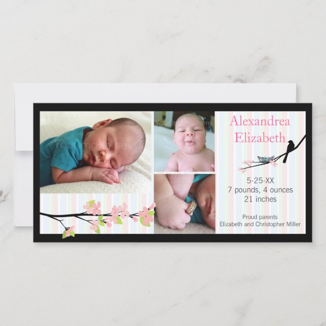 Bird and Blossoms in Pink Photo Birth Announcement (Front)