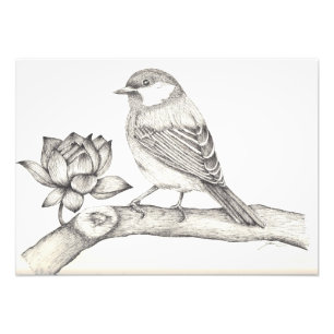 Bird and Flower Photo Print