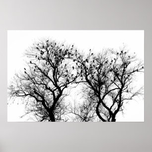 Bird and tree silhouette. poster