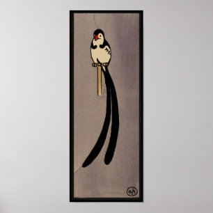 Bird - Antiquarian, Colourful Book Illustration Poster