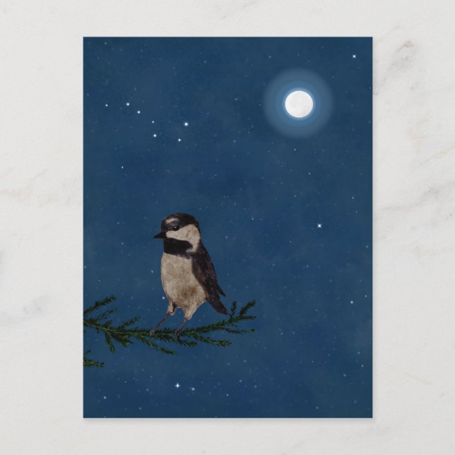 Bird Art, at Night with Moon, Big Dipper, Stars Postcard (Front)